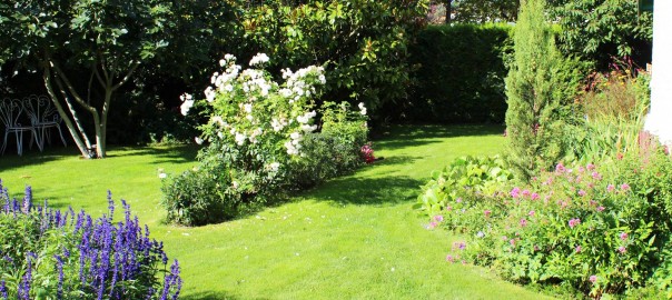 réalisation jardin croissy sur seine