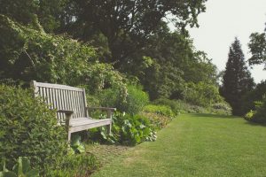 aménagement jardin chatou