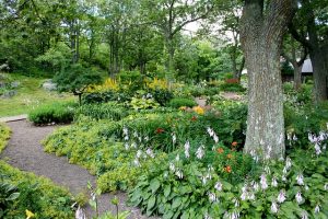 aménagement jardin montesson