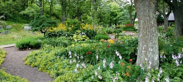 aménagement jardin montesson