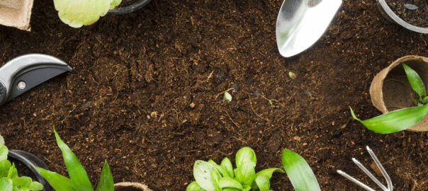 cultiver son jardin pendant le confinement