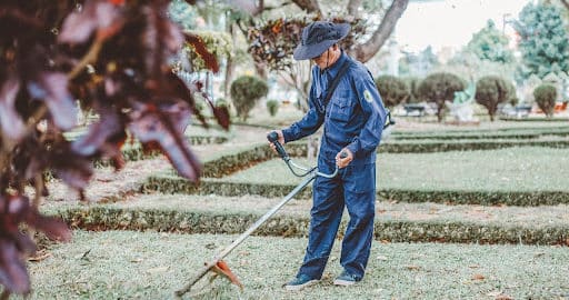 Quelle différence entre un jardinier et un paysagiste ?