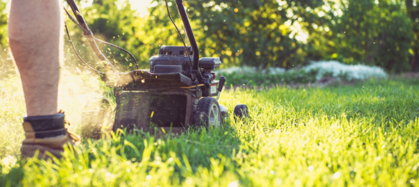 un jardinier entrain de réaliser une tonte